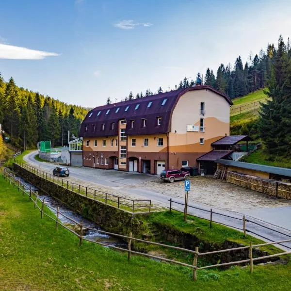Horský Hotel Brezovica, hotel in Brezovica
