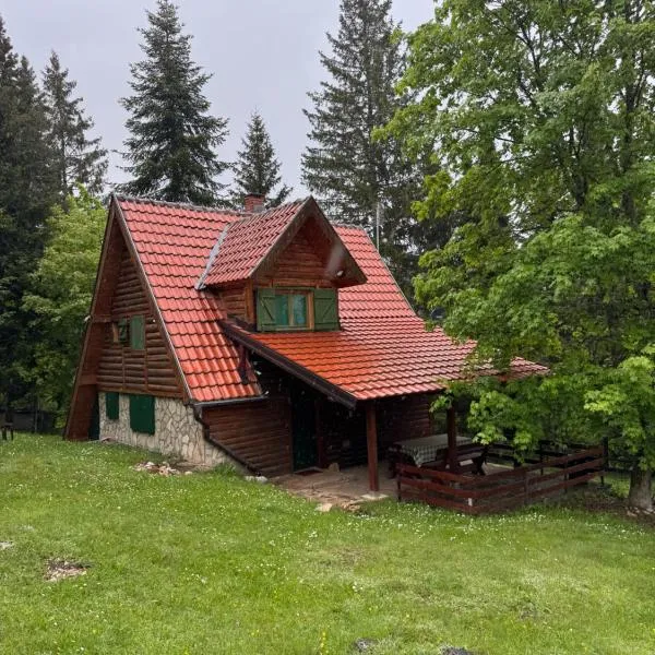 Čarobna kućica，位于米特洛瓦克的酒店