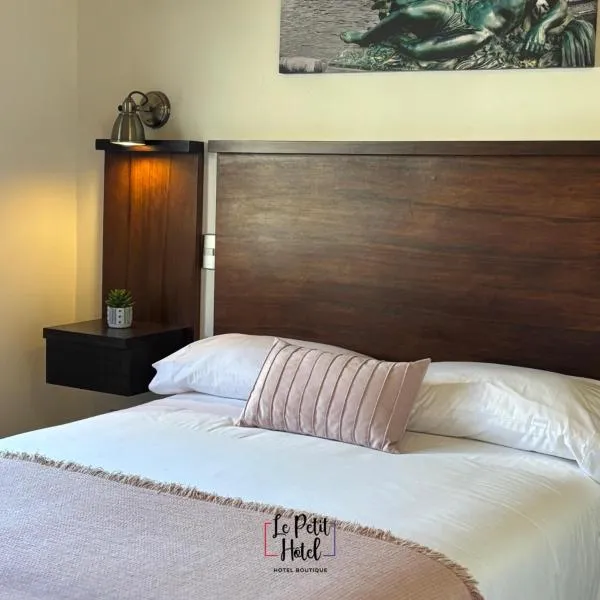 Hotel Le Petit，位于康塞普西翁的酒店