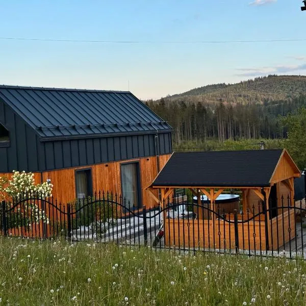 Młynarska Dolina B, ξενοδοχείο σε Koniakow