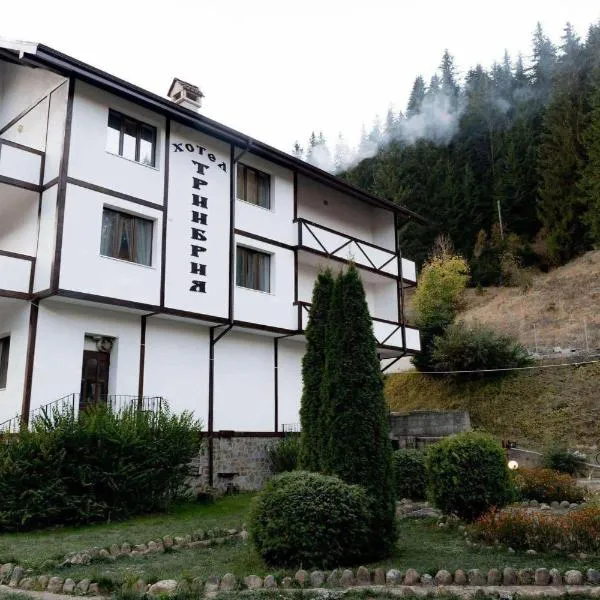 TRIIBRIA Guest house, Hotel in Trigrad