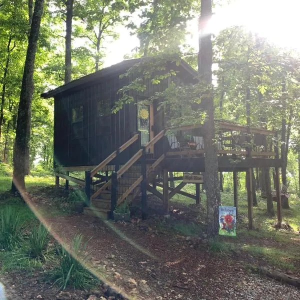River Ridge Cabins, hotel v destinaci Mountain View