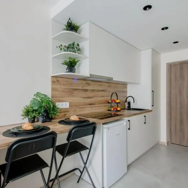 Green Apartment, hotel in Vilnius