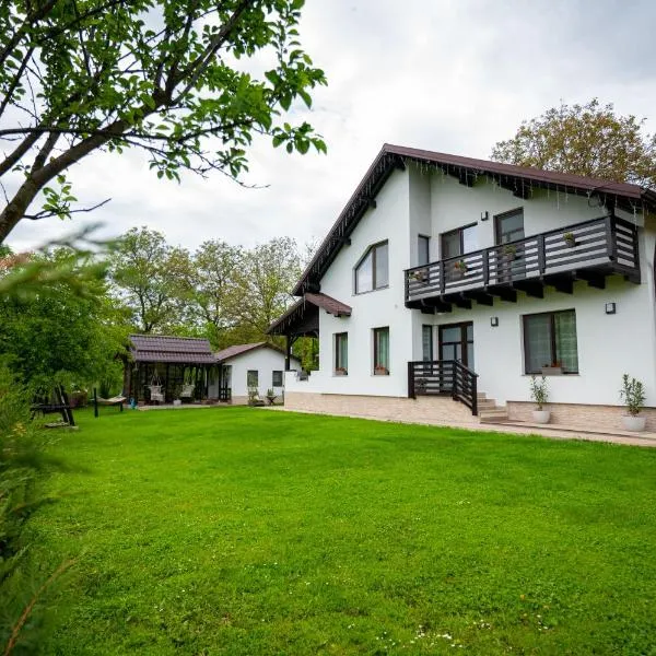ViiLa TO, hotel in Bertea