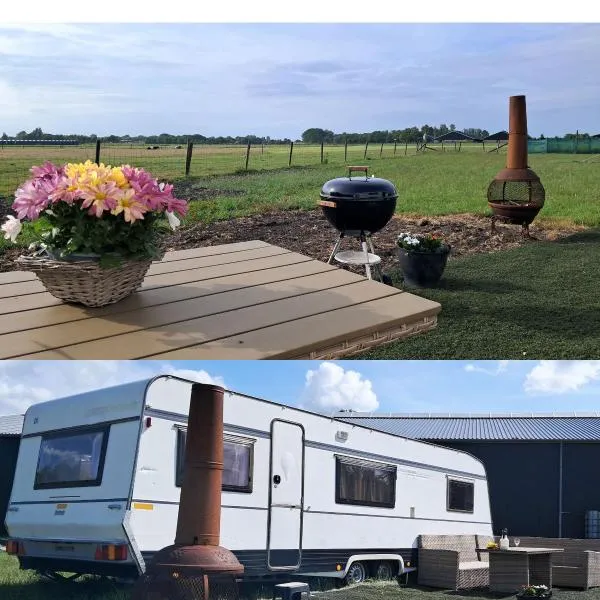 De Rozenbottel met privé sanitair, hotel in Hensbroek