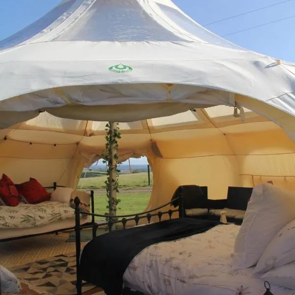 Tal-y-fan farm 6m stargazer tent, hotel in Bridgend