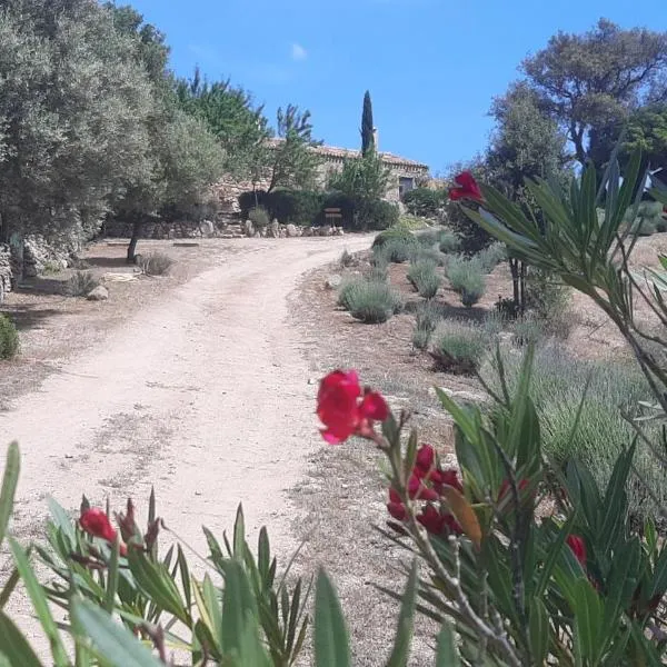 holiday home su Niberalzu, hotell sihtkohas Monti