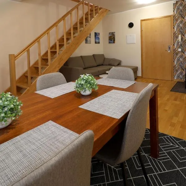 Õhtukese Apartment，位于派尔努的酒店