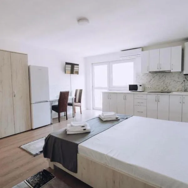 Apartamente TRS、ビストリツァのホテル