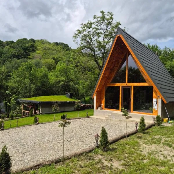 Cabana AFrame Olanesti, hotel in Băile Olăneşti