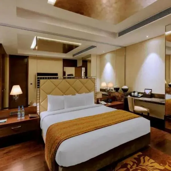 Hotel Grand The Grace，位于新德里的酒店