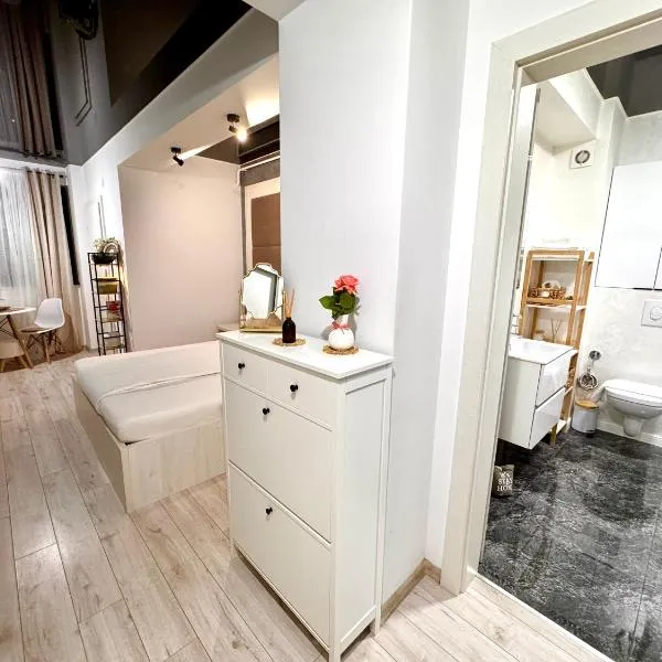 Studio Central Park, hotel em Galaţi