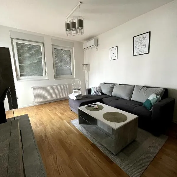 Apartman Visnjica，位于洛兹尼察的酒店