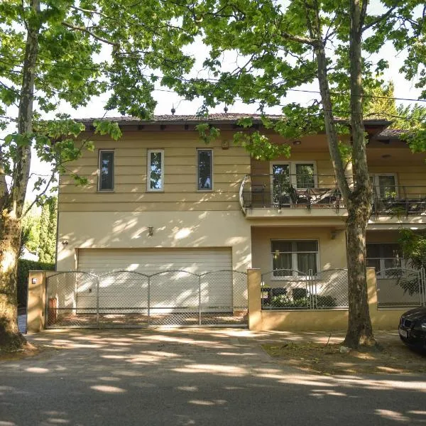 Amore Apartmanhaz, hotel in Siófok