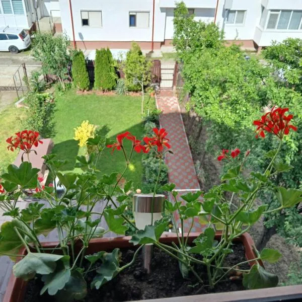 Casa Fabrizio, hotel en Călimăneşti