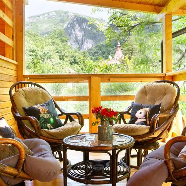 Casa Decebal, hotel in Băile Herculane