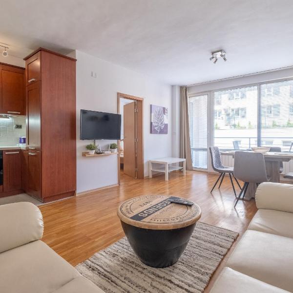Spacious 1 bedroom apartment in a lively center, Sofia