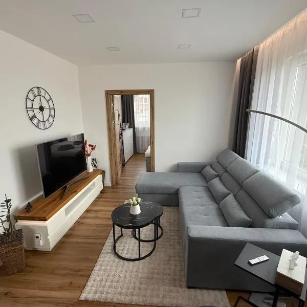 Apartmán s balkónem, klimatizací a infrasaunou, hotel in Ostrava