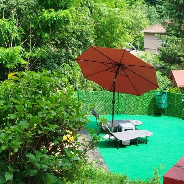 Vila Raj, hotel in Gornja Toplica