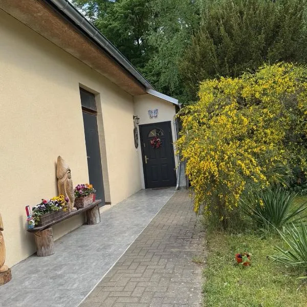 Agroturystyka Staroscin, Hotel in Rzepin