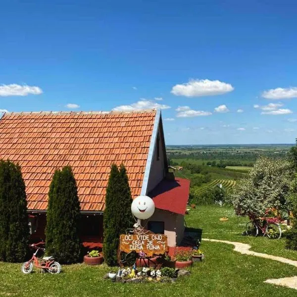 Kuća Čerevićki Vidikovac, ξενοδοχείο σε Čerević