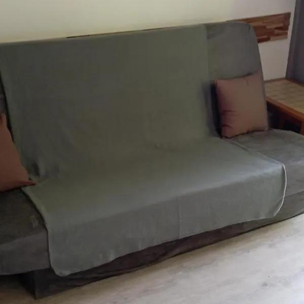 Appartement au Cœur du Col de Rousset, Hotel in Saint-Agnan-en-Vercors