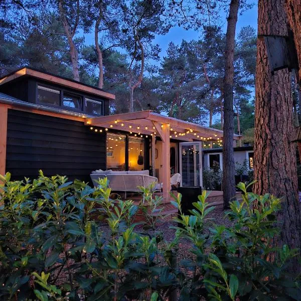 Thuisje van Hout, tiny house in Drentse natuur, hotel in Zuidwolde