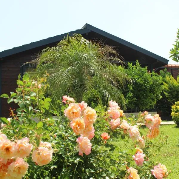 Çıralı Villa's, hotel v destinaci Kemer