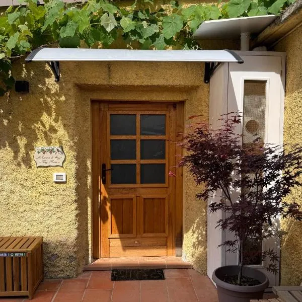 La casina di mezzo - Tiny House, hótel í Camaiore