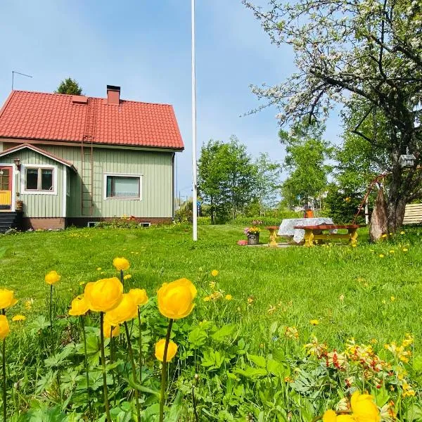 Toivola , Joroinen, Hotel in Joroinen