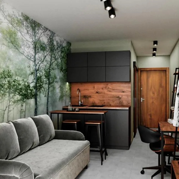 Praga Studio Apartments, hotel en Varsovia