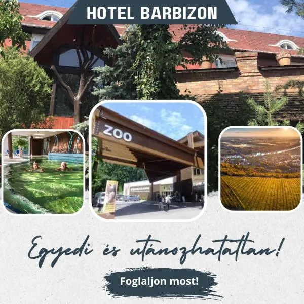 Hotel Barbizon, hotel in Nyíregyháza
