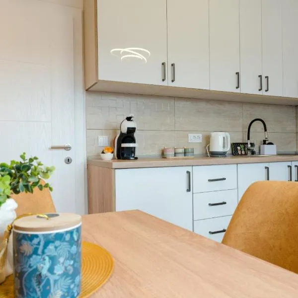 Apartman Stevanovic, hotel in Vrnjačka Banja