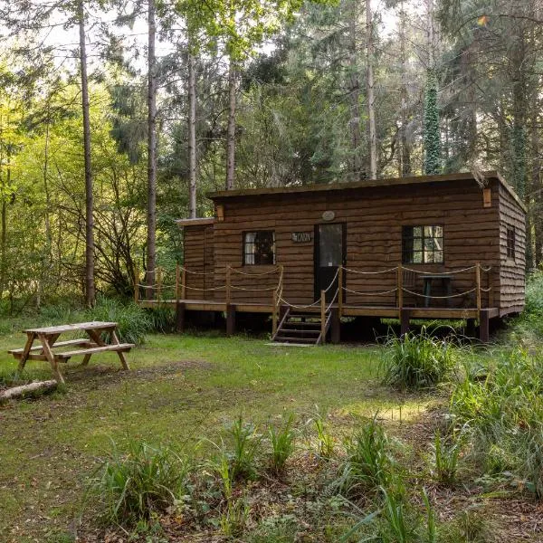 Bridgewood Camping - CABIN, hotell sihtkohas Sherborne