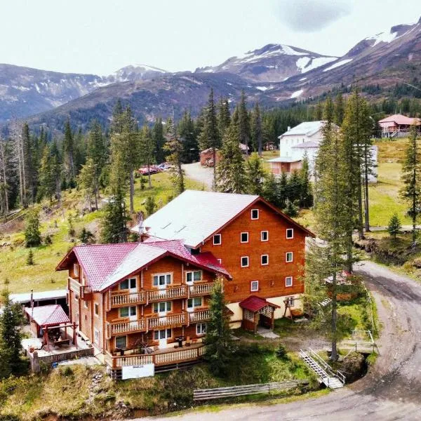 Alpin Eco Chalet & Wellness, hotel in Dragobrat