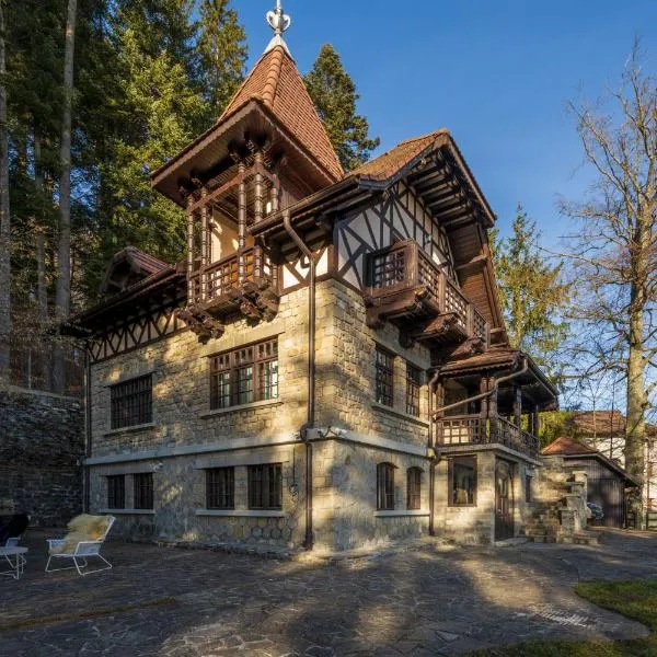 Vila Negoiu, hotell Sinaias