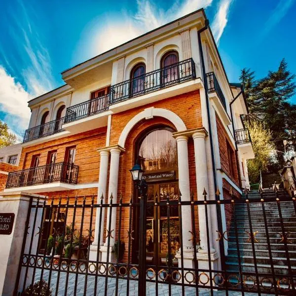 Lileo Kutaisi - Hotel&Winery, hotel in Kutaisi