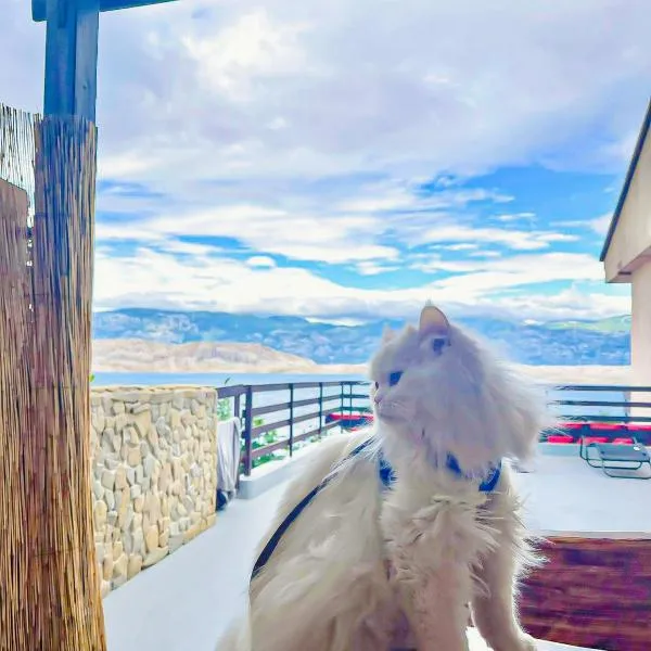 Mila's pet friendly holiday house, hotell sihtkohas Pag