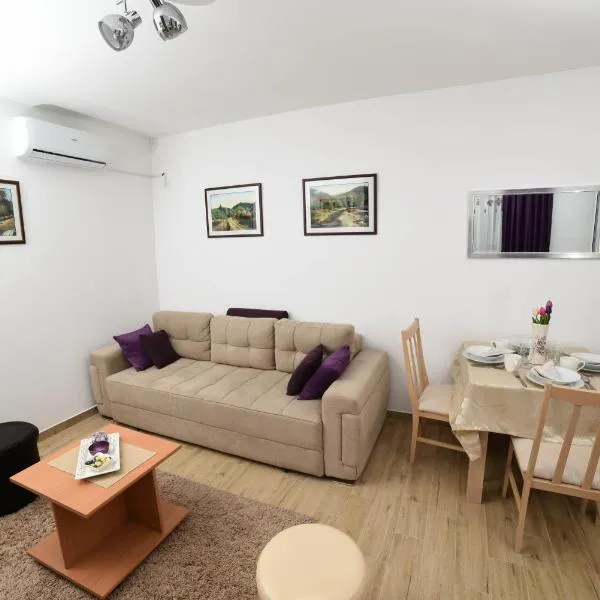 NeVa Apartman, Banja Vrujci, hotel in Rakari