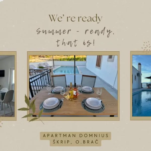 Apartman Domnius: Škrip şehrinde bir otel