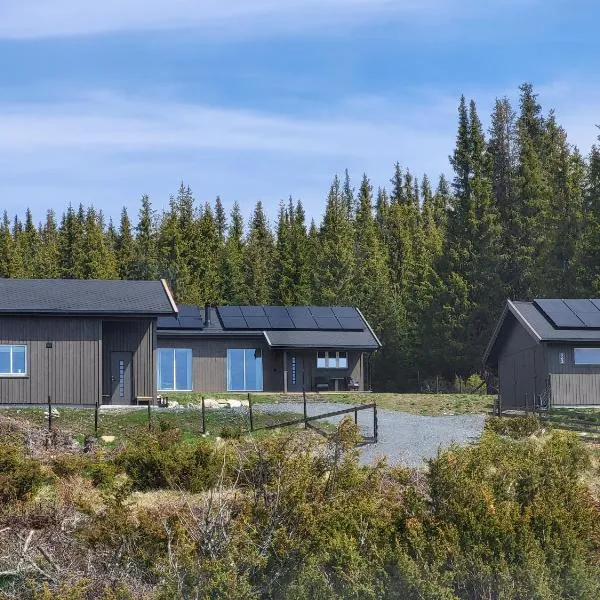 Koselig liten fjellhytte i flott turterreng både sommer og vinter, hotel a Hovda