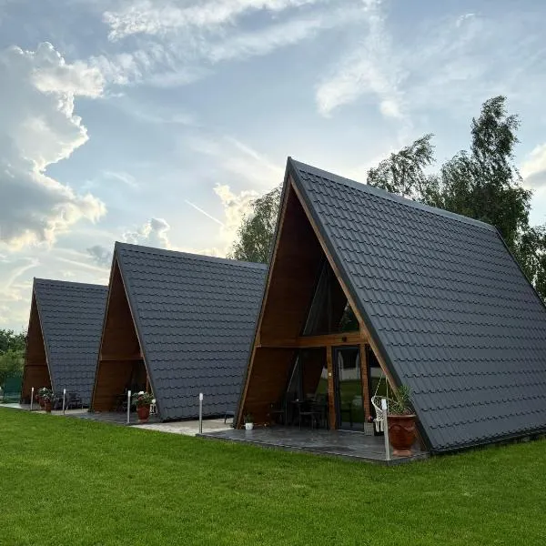 VVV House, hotel sa Avrig