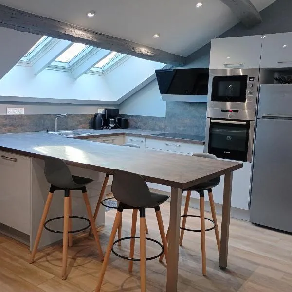 Appartement de charme à Amboise face à la Loire，昂布瓦兹的飯店