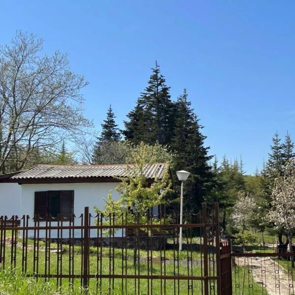 Бунгала Виктори Victory Bungalows, hotel in Shkorpilovtsi