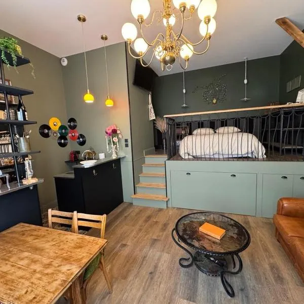 My little loft in the heart of the city, hotel in Tours