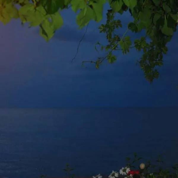 Villa Maria, hotel v destinaci Kamariotissa