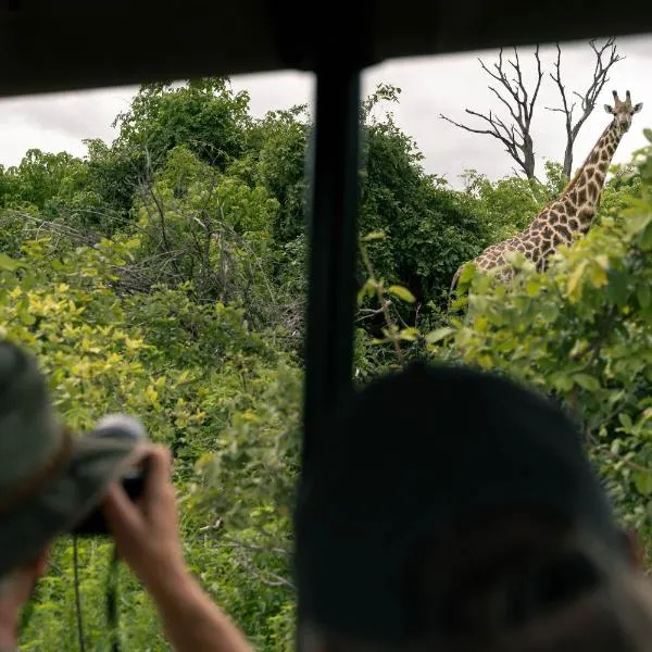 Chobe River Lodge, hotel v destinaci Kasane