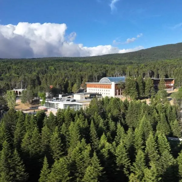 Swissotel Uludag Bursa, hotel in Bursa