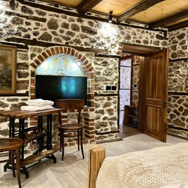 Vechia Villa Mitllari, hotel in Tushemisht