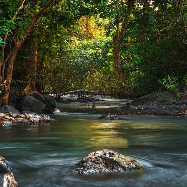 Vanaswara、コールドのホテル
